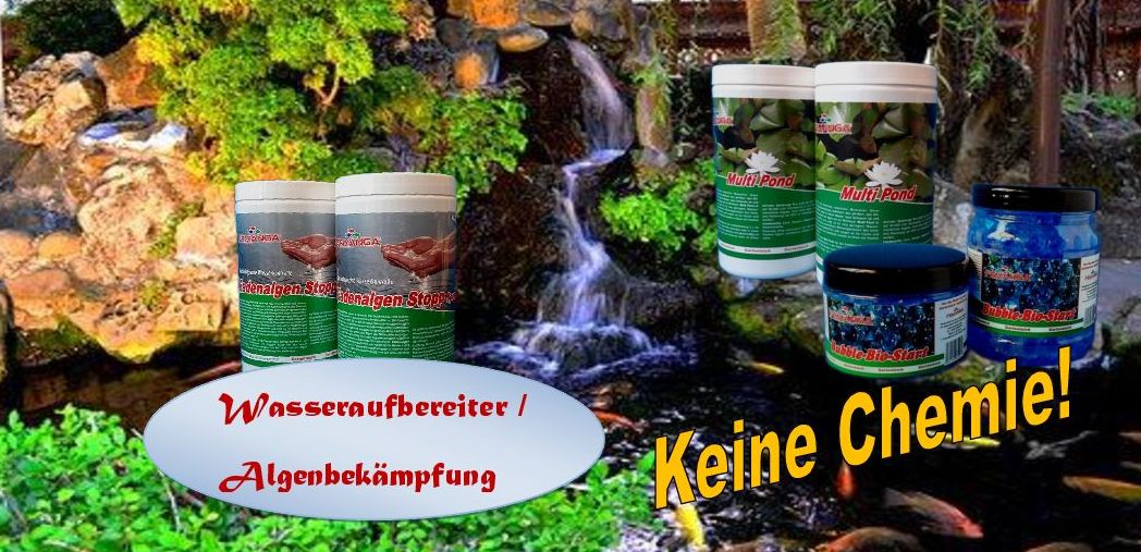 Koi & Teichpflege